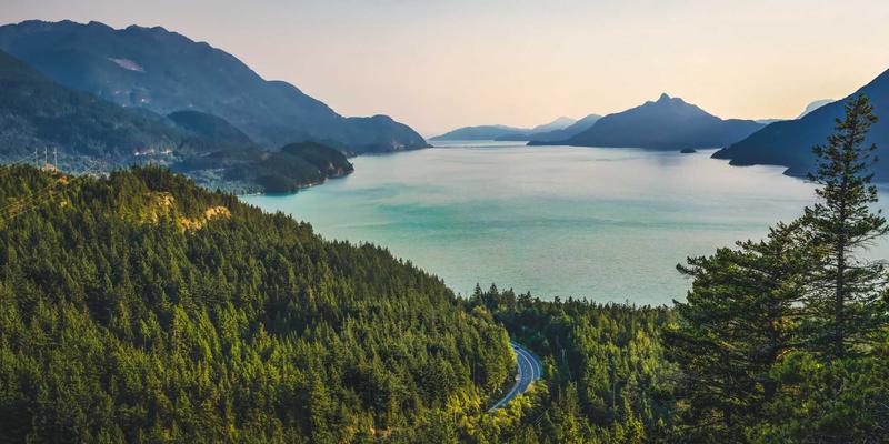 B2B品牌的情感化设计：如何打破理性壁垒，与决策者建立深度信任连接