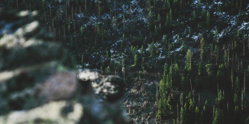 快闪店与限时空间的创意策划：如何设计高传播度的线下品牌事件